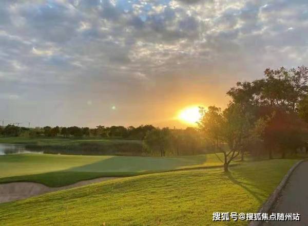 真相大白:香港正版资料大全免费,详细解答、解释与落实