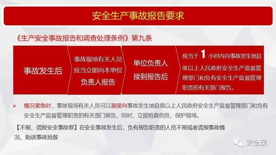 警醒:2025香港资料大全,请全面释义、解释与落实